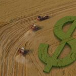 crédito rural, preços, pib, commodities, crescimento no PIB, dinheiro, desenvolvimento, mercado brasileiro, plano safra, crédito rural, PIB do agronegócio, plano safra, moderfrota, fiagro