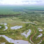 Área de conservação mantida pela Eldorado em Mato Grosso do Sul
