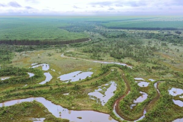 Área de conservação mantida pela Eldorado em Mato Grosso do Sul