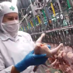 fiscais agropecuários rs