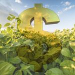 Guerra comercial favorece venda antecipada de 3 commodities, diz Cogo
