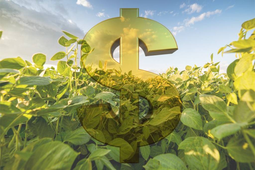 Guerra comercial favorece venda antecipada de 3 commodities, diz Cogo