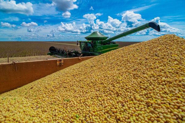 Agro puxa crescimento e PIB responde com alta de 1,4% no 1º trimestre