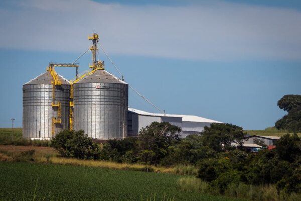 Cooperativas, silo para armazenagem, soja, conab