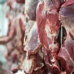 Exportações do complexo carne têm alta em volume e receita