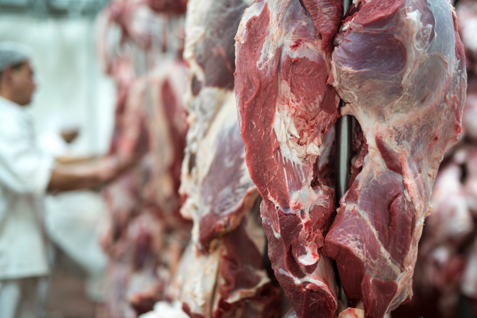 Exportações do complexo carne têm alta em volume e receita