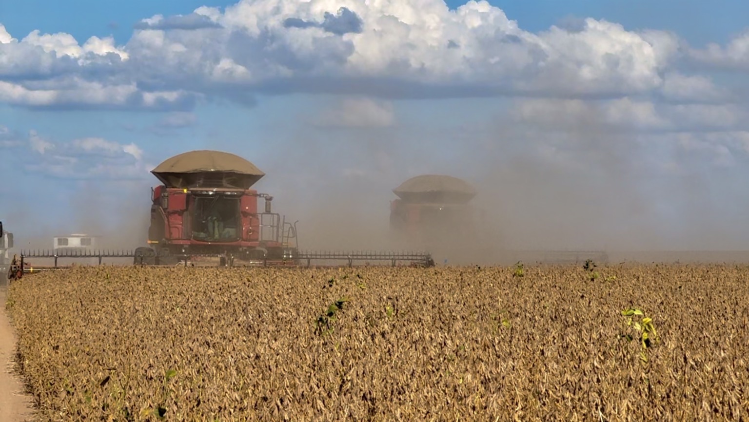 Produtos agro motivam aumento na estimativa de crescimento do PIB em 2025
