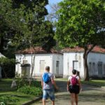 Programação no Mast lembra os 100 anos de visita de Eisntein ao Brasil