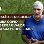 Saiba como transformar sua propriedade rural em um negócio lucrativo