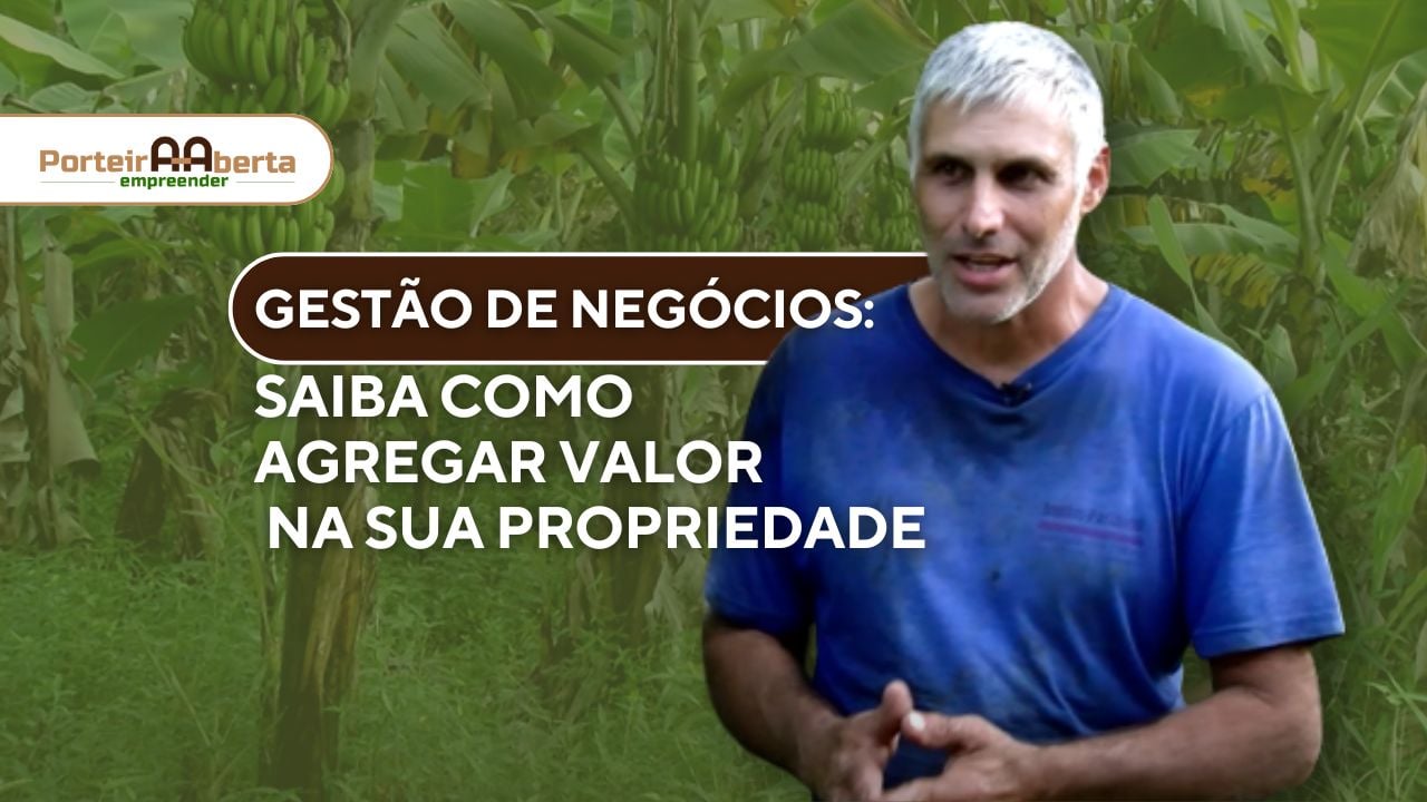 Saiba como transformar sua propriedade rural em um negócio lucrativo