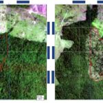BNDES bloqueia R$ 806 milhões em crédito rural por suspeita de desmatamento ilegal