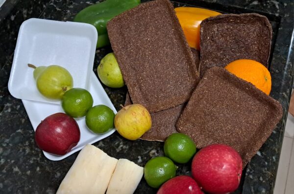 Estudante cria bandejas biodegradáveis com casca de mandioca e araucária