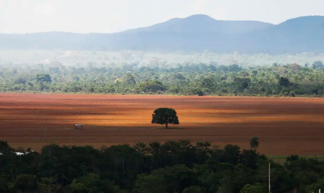 Ibama receberá R$ 825 milhões para combate ao desmatamento ilegal
