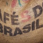 Agro brasileiro deveria pressionar Congresso dos EUA contra tarifaço, diz professor da FGV