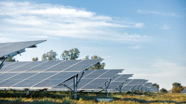 Energia solar reduz até 95% da conta de luz no campo, diz especialista