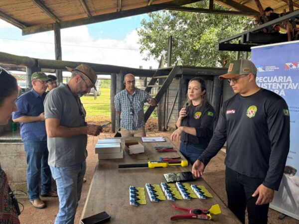 JBS investe mais de R$ 35 milhões em rastreabilidade e apoio a pequenos produtores no Pará