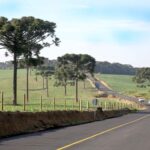 rodovias paraná