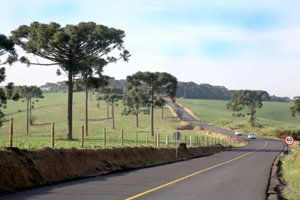 rodovias paraná