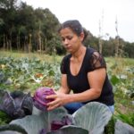 BNDES anuncia R$ 60 mi para cooperativas de agricultura familiar produzirem bioinsumos
