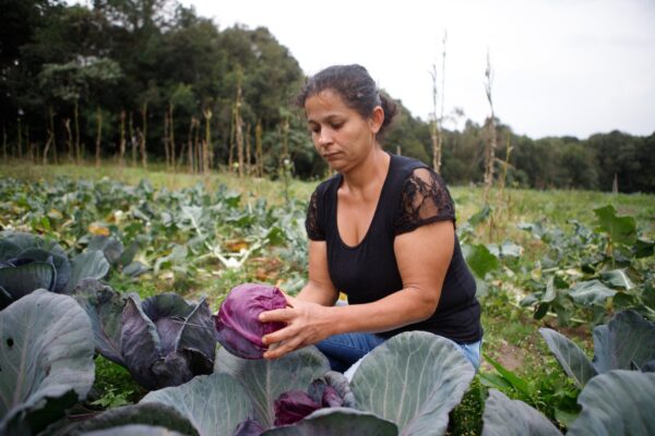 BNDES anuncia R$ 60 mi para cooperativas de agricultura familiar produzirem bioinsumos