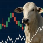 derivativos boi gordo