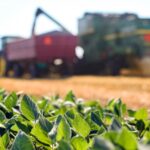 Brasil se fortalece no cenário agropecuário global, diz secretário do Mapa