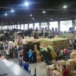 Compras públicas não impedirão que produtores tenham prejuízo com o tarifaço, avalia economista