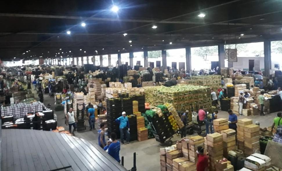 Compras públicas não impedirão que produtores tenham prejuízo com o tarifaço, avalia economista