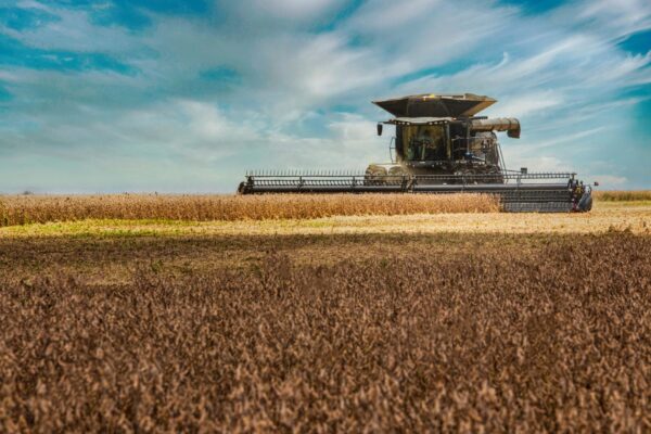 colheita soja Bahia