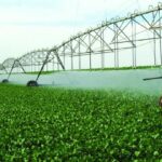 'Irrigação é a principal ferramenta do agricultor para enfrentar as mudanças climáticas", diz presidente da FIIB