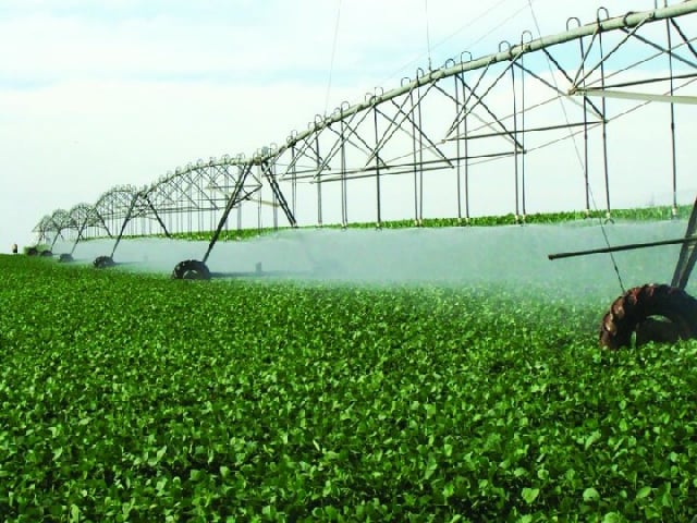 'Irrigação é a principal ferramenta do agricultor para enfrentar as mudanças climáticas", diz presidente da FIIB