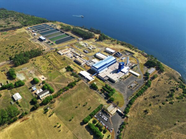 Novo colágeno da JBS promove mais firmeza e elasticidade da pele, segundo pesquisa