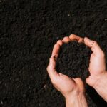 importação de fertilizantes - boletim agroexport - gasto
