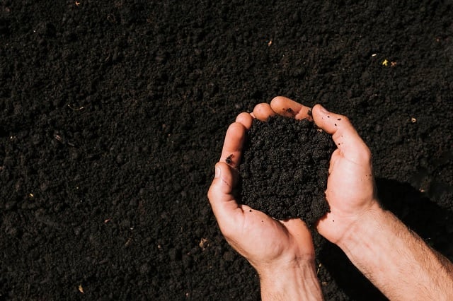 importação de fertilizantes - boletim agroexport - gasto