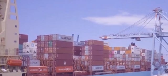 pesca - exportações - sp