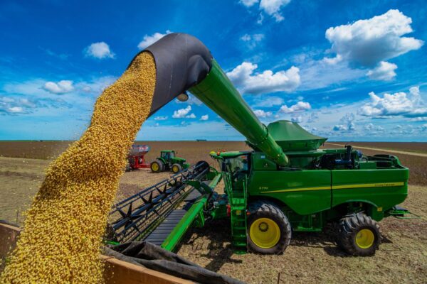 Máquina colhe soja no oeste da Bahia