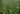 Amazônia, COP28, investimento, Brasil