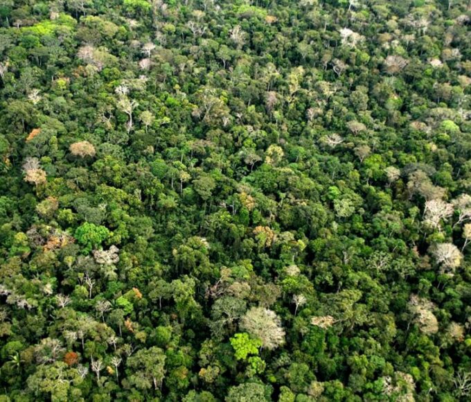 Amazônia, COP28, investimento, Brasil