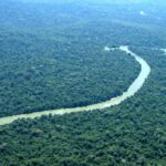 Amazônia e Mata Atlântica