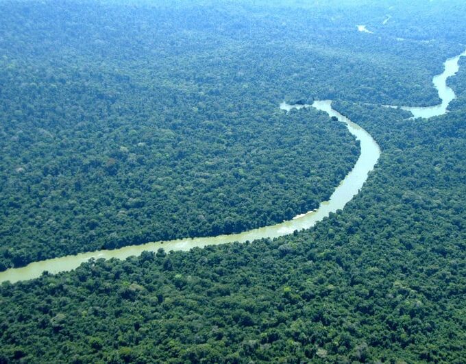 Amazônia e Mata Atlântica