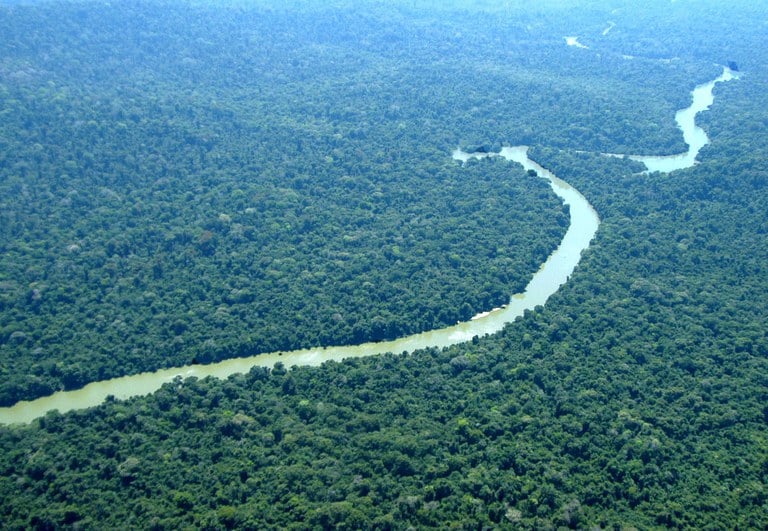 Amazônia e Mata Atlântica