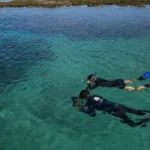 Empresa estuda cepas de Noronha para criar bioinsumos que reduzem impacto ambiental na agricultura