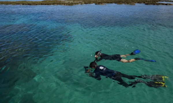 Empresa estuda cepas de Noronha para criar bioinsumos que reduzem impacto ambiental na agricultura