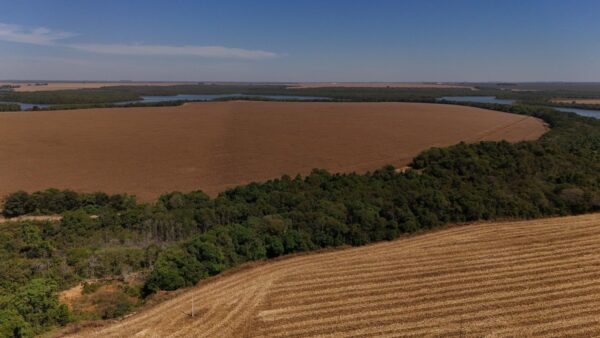 Governo interferir na Moratória da Soja é uso indevido da máquina pública, acusa a FPA