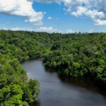 Lula anuncia US$ 1 bi no Fundo de Florestas Tropicais para Sempre