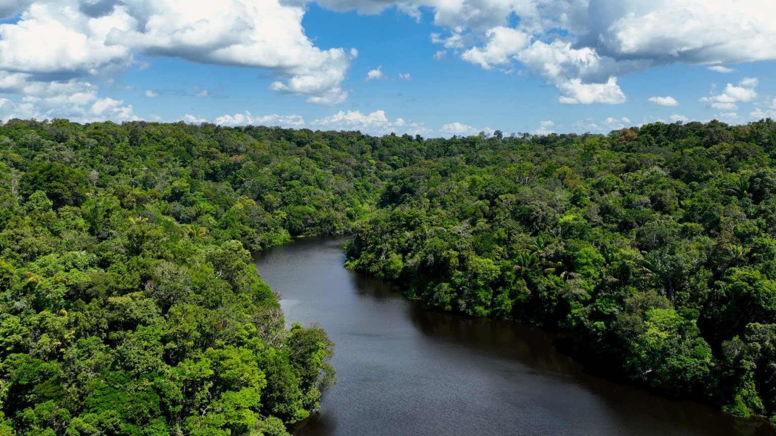 Lula anuncia US$ 1 bi no Fundo de Florestas Tropicais para Sempre