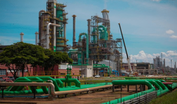 Combustível; Petrobras