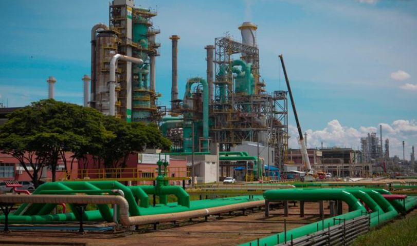 Combustível; Petrobras