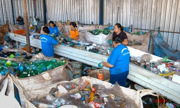 Produção de plástico reciclado cresce 7,8% em 2024, com agroindústria alcançando alta de 35%