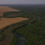 Produtores mantêm áreas preservadas mesmo após fim de pagamentos de projeto conservação